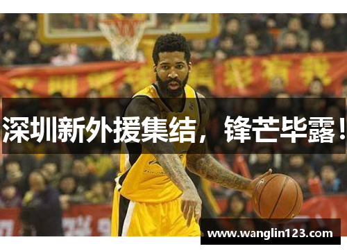 深圳新外援集结，锋芒毕露！