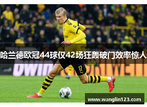 哈兰德欧冠44球仅42场狂轰破门效率惊人